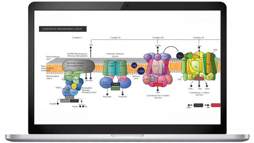 Software di genetica - Pathway™ - Partek, Inc. - da laboratorio / di analisi