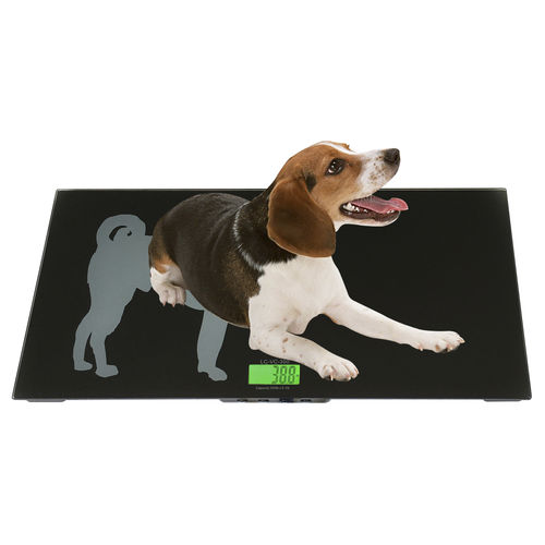 Bilancia veterinaria elettronica - LC-VS series - LW MEASUREMENTS Europe S.L. - con display LCD