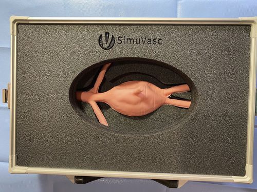 Simulatore di aneurisma dell'arteria addominale - AAA - SimuVasc - didattico / per assistenza generale