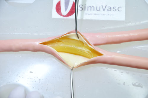 Simulatore didattico - SimuVasc - per chirurgia vascolare