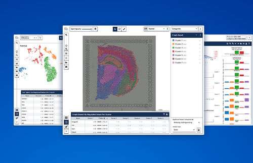 Software per biologia molecolare - 10xgenomics - di analisi / di visualizzazione / Windows