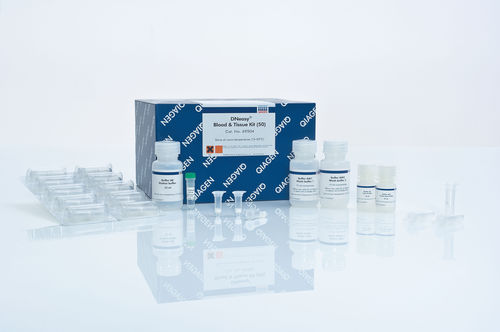 Kit di reagenti per estrazione di DNA - DNeasy - QIAGEN - in soluzione / per ricerca scientifica / di campioni di sangue