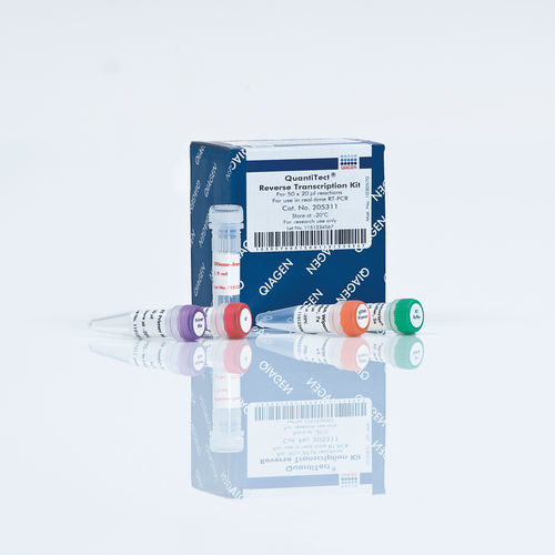 Kit di reagenti per RT-PCR - QuantiTect - QIAGEN - transcrittasi inversa / per sintesi di ADN complementare / DNA genomico