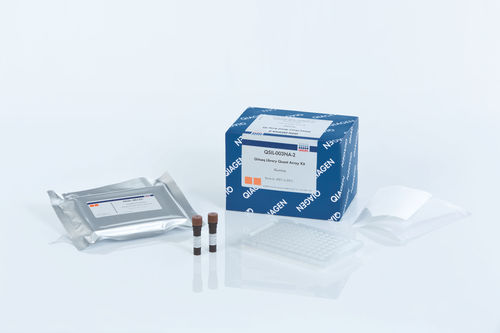 Kit di test per applicazioni medico-legali - GeneRead  - QIAGEN - per PCR real-time / per sequenziamento NGS / per sequenziamento