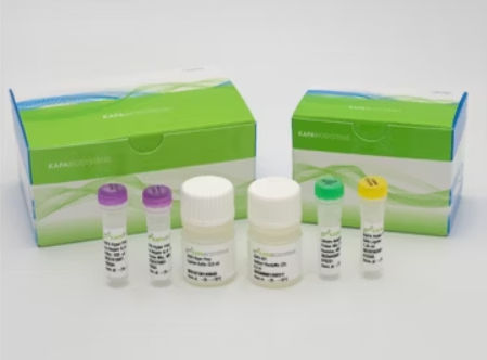 Kit di reagenti in soluzione - KAPA HyperPrep  - Roche Sequencing Solutions - DNA polimerasi / da ricerca / NGS