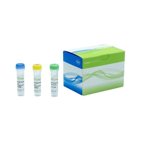 Reagente DNA polimerasi - KAPA EvoPrep Boost  - Roche Sequencing Solutions - mezzo reattivo / enzima / per PCR