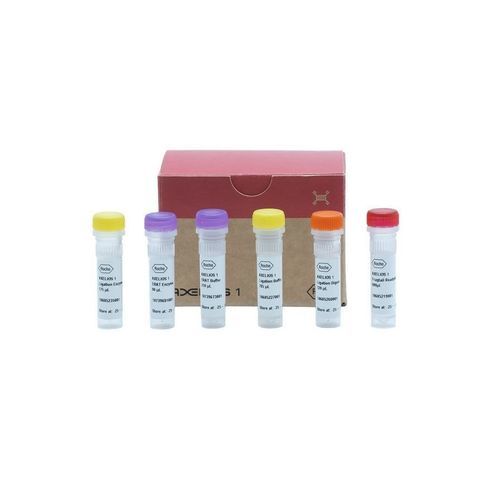 Reagente DNA ligasi - AXELIOS 1  - Roche Sequencing Solutions - transcrittasi inversa / enzima / per sequenziamento di nuova generazione