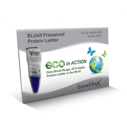 Scala proteica - BLUelf   - GeneDireX, Inc. - per western blot