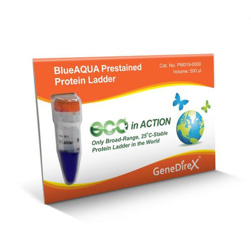 Scala proteica - BlueAQUA - GeneDireX, Inc. - per western blot