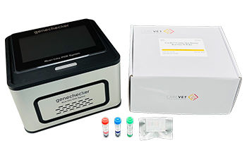 Kit di test veterinario - CareDx™ - Genesystem Co., Ltd. - canino / in tempo reale / per PCR