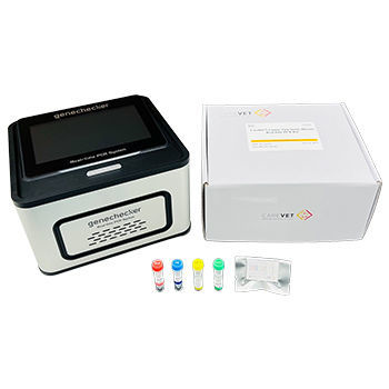 Kit di test veterinario - CareDx™ - Genesystem Co., Ltd. - canino / di Babesia / da laboratorio