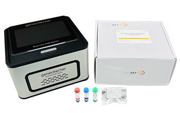 Kit di test per malattie respiratorie - CareDx™ - Genesystem Co., Ltd. - per malattie infettive / per felini / batteriologico