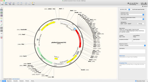 Software di visualizzazione - SnapGene®  - GSL Biotech - per microbiologia / da laboratorio