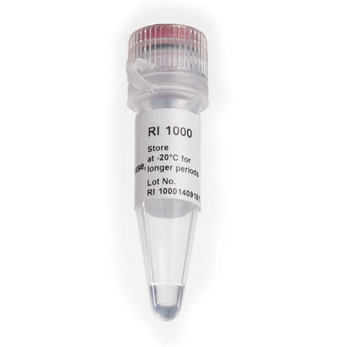 Reagente Taq polimerasi - RNAok™ - SMOBIO Technology, Inc. - transcrittasi inversa / inibitore di Rnase / per RT-PCR