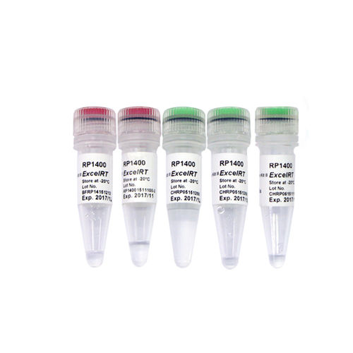 Kit di reagenti transcrittasi inversa - ExcelRT™ - SMOBIO Technology, Inc. - per PCR real-time / di pH / virale