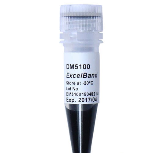 Reagente marcatore del peso molecolare - ExcelBand™ - SMOBIO Technology, Inc. - enzima / colorante / per elettroforesi
