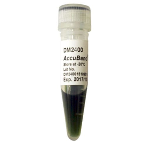 Reagente marcatore del peso molecolare - AccuBand™  - SMOBIO Technology, Inc. - gel di agarosio / enzima / colorante