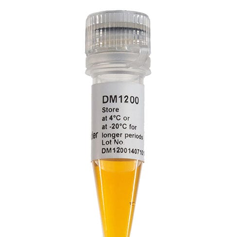 Reagente marcatore del peso molecolare - DM1200 - SMOBIO Technology, Inc. - enzima / colorante / per elettroforesi