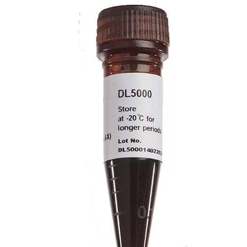 Reagente colorante - FluoroDye™ - SMOBIO Technology, Inc. - per estrazione di DNA / di glicerolo