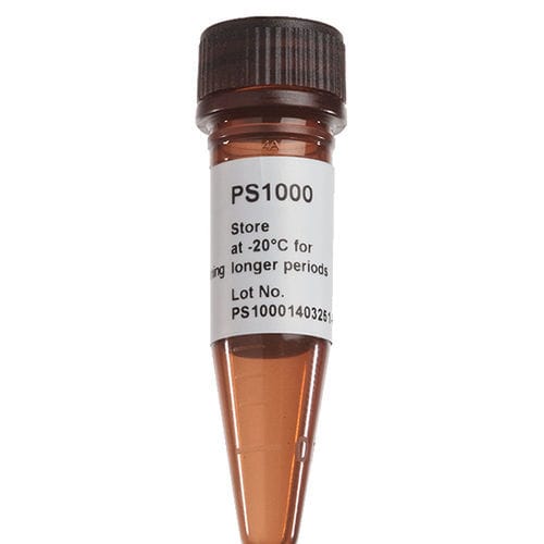 Reagente soluzione colorante - FluoroStain™ - SMOBIO Technology, Inc. - colorante / microbiologico / di proteine