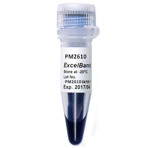 Reagente tampone di caricamento - ExcelBand™ - SMOBIO Technology, Inc. - microbiologico / per biologia molecolare / di proteine