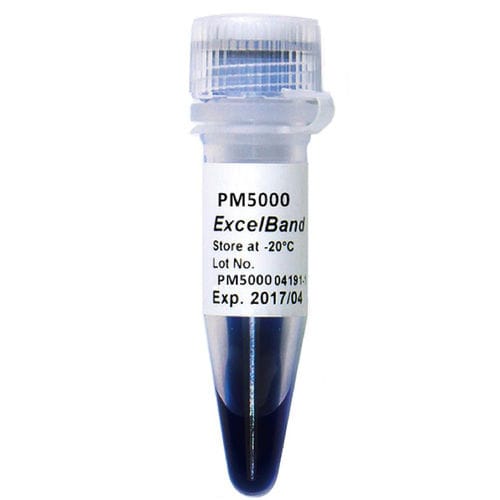 Reagente tampone di caricamento - ExcelBand™  - SMOBIO Technology, Inc. - scala proteica / microbiologico / per biologia molecolare