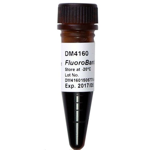 Reagente marcatore del peso molecolare - FluoroBand™ - SMOBIO Technology, Inc. - enzima / per estrazione di DNA / di pH