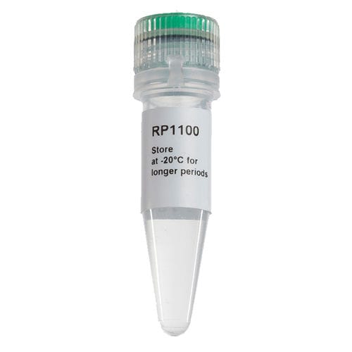 Reagente enzima - ExcelRT™ - SMOBIO Technology, Inc. - per PCR / per RT-PCR