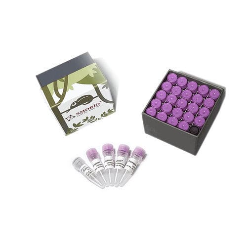 Reagente soluzione tampone - CC5204 - SMOBIO Technology, Inc. - per biologia molecolare / dell'Escherichia coli