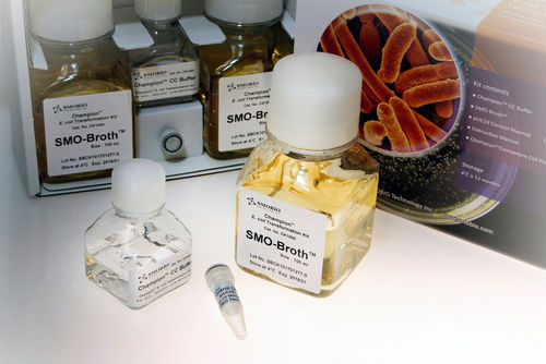 Kit di test per malattie infettive - Champion™ - SMOBIO Technology, Inc. - dell'Escherichia coli / di cellule