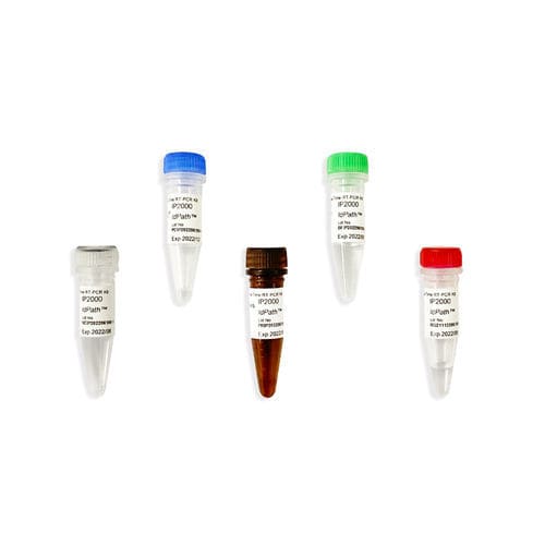 Kit di reagenti enzima - IdPath™ - SMOBIO Technology, Inc. - clinico / da ricerca / da laboratorio