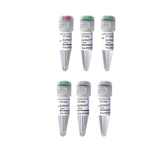 Kit di reagenti enzima - EzRNA™ T7  - SMOBIO Technology, Inc. - per trascrizione in vitro / per sintesi di RNA / di cloruro
