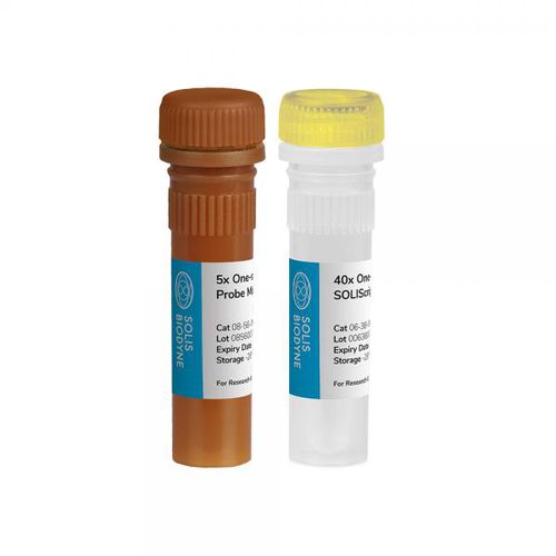 Kit di reagenti in soluzione - SOLIScript® 1-step Probe  - Solis BioDyne - enzima / da ricerca / diagnostico