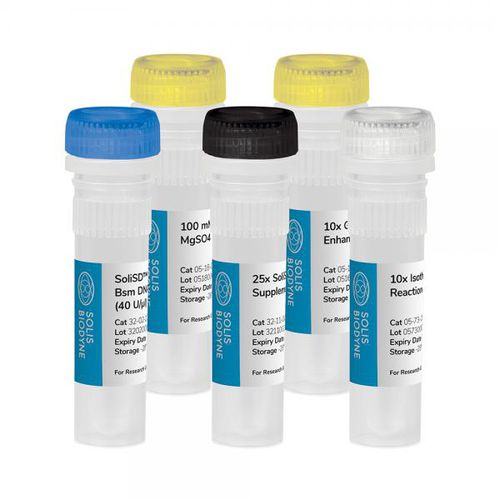 Kit di reagenti DNA polimerasi - SoliSD™ Lyo-compatible Bsm DNA Polymerase Kit - Solis BioDyne - per amplificazione isotermica