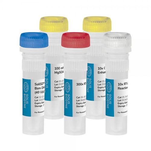 Kit di reagenti DNA polimerasi - SoliSD™ Lyo-compatible RT-LAMP Kit - Solis BioDyne - per amplificazione isotermica / kit LAMP