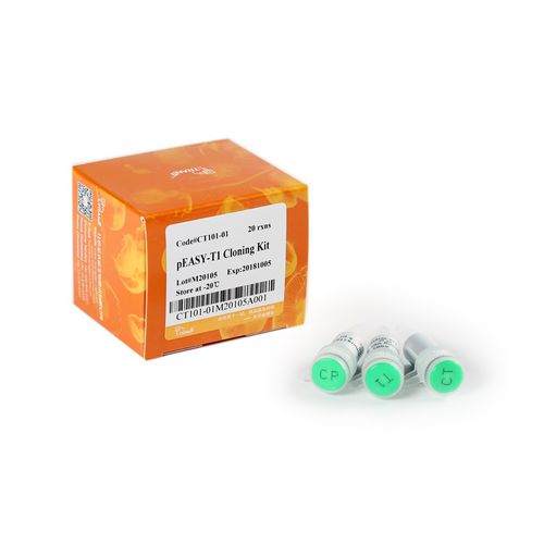 Kit di reagenti ampicillina - pEASY® -T1 - TransGen Biotech Co. - per sequenziamento di DNA / microbiologico
