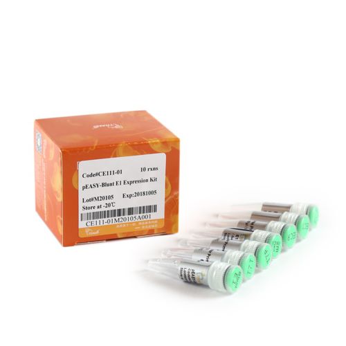 Kit di reagenti ampicillina - pEASY®-Blunt E1 - TransGen Biotech Co. - per sequenziamento di DNA / microbiologico / di proteine