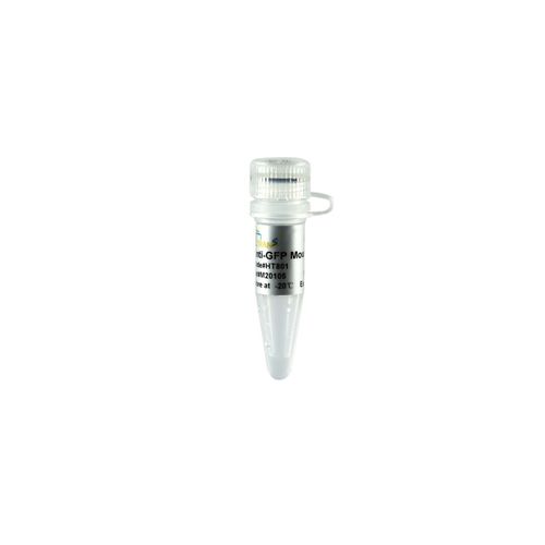 Reagente anticorpo monoclonale - ProteinFind® Anti-GFP - TransGen Biotech Co. - microbiologico / per laboratorio veterinario