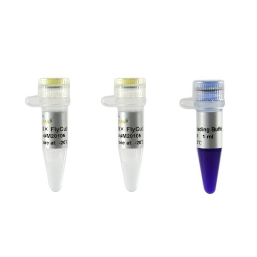 Reagente enzima - FlyCut® XhoI - TransGen Biotech Co. - per biologia molecolare / per editing genomico