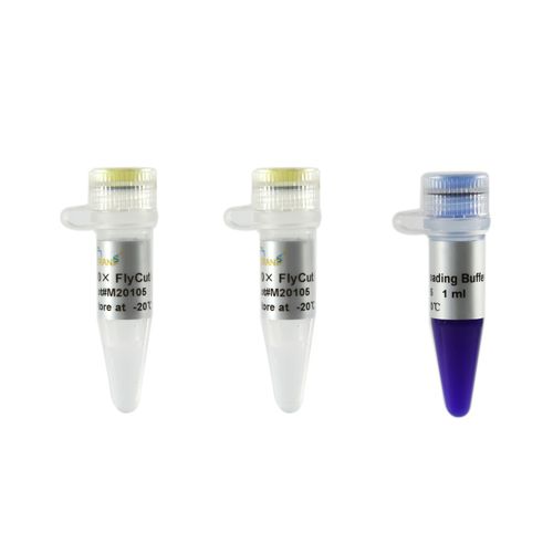 Reagente enzima - FlyCut® XbaI - TransGen Biotech Co. - per biologia molecolare / dell'Escherichia coli