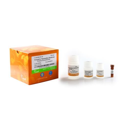 Kit di reagenti proteasi - ProteinExt® - TransGen Biotech Co. - per western blot / per test ELISA / di proteine