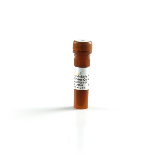 Reagente tampone fosfato - ProteinExt™ - TransGen Biotech Co. - per western blot / di proteine / di sodio