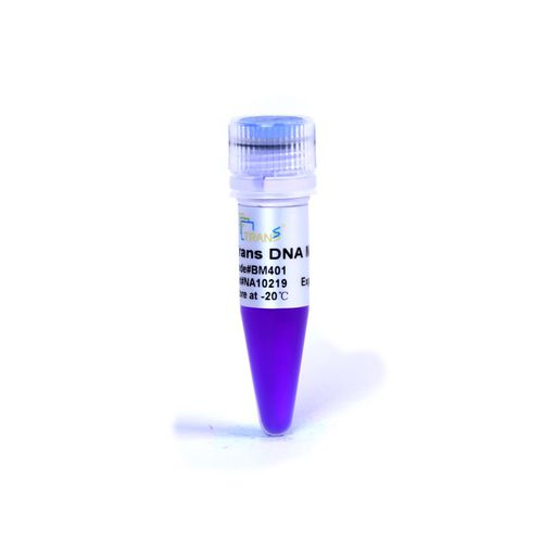 Reagente gel di agarosio - Trans - TransGen Biotech Co. - marcatore del peso molecolare / per biologia molecolare / per acidi nucleici