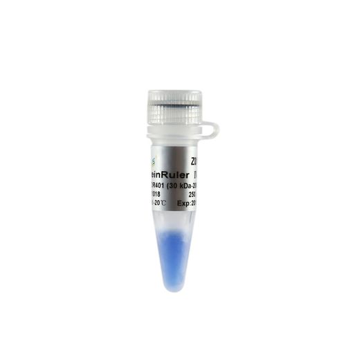 Reagente in soluzione - ProteinRuler® IV - TransGen Biotech Co. - per elettroforesi / di proteine