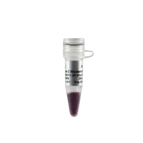Reagente in soluzione - EasySee® II - TransGen Biotech Co. - per biologia molecolare / per western blot / di proteine
