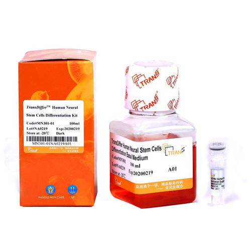 Kit di reagenti mezzo reattivo - TransDiffer™ - TransGen Biotech Co. - clinico / per cellule staminali