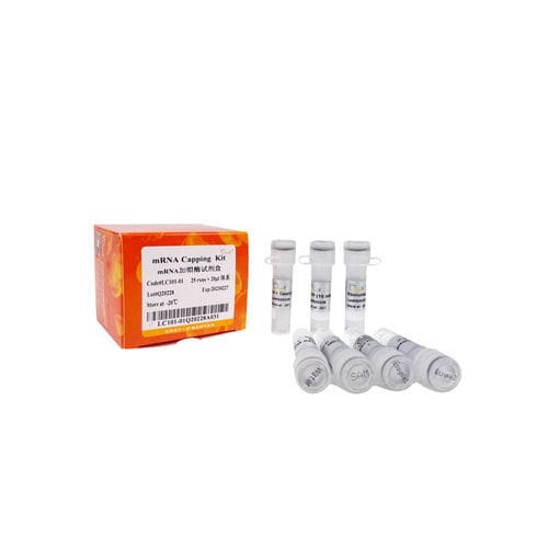 Kit di reagenti enzima - LC101-0 series - TransGen Biotech Co. - per trascrizione in vitro / virale / enzimatico