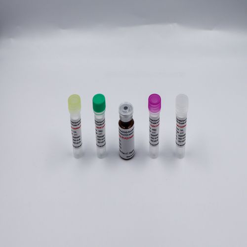 Kit di reagenti in soluzione - Bioteke Corporation - da ricerca / per PCR / per acidi nucleici