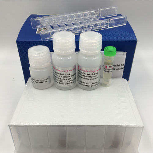 Kit di reagenti DNA polimerasi - PR681 Series - Bioteke Corporation - transcrittasi inversa / microbiologico / per acidi nucleici