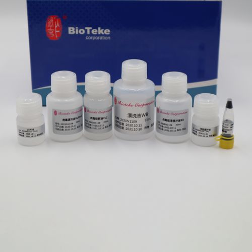 Kit di reagenti Taq polimerasi - AU17012 - Bioteke Corporation - per PCR / per acidi nucleici